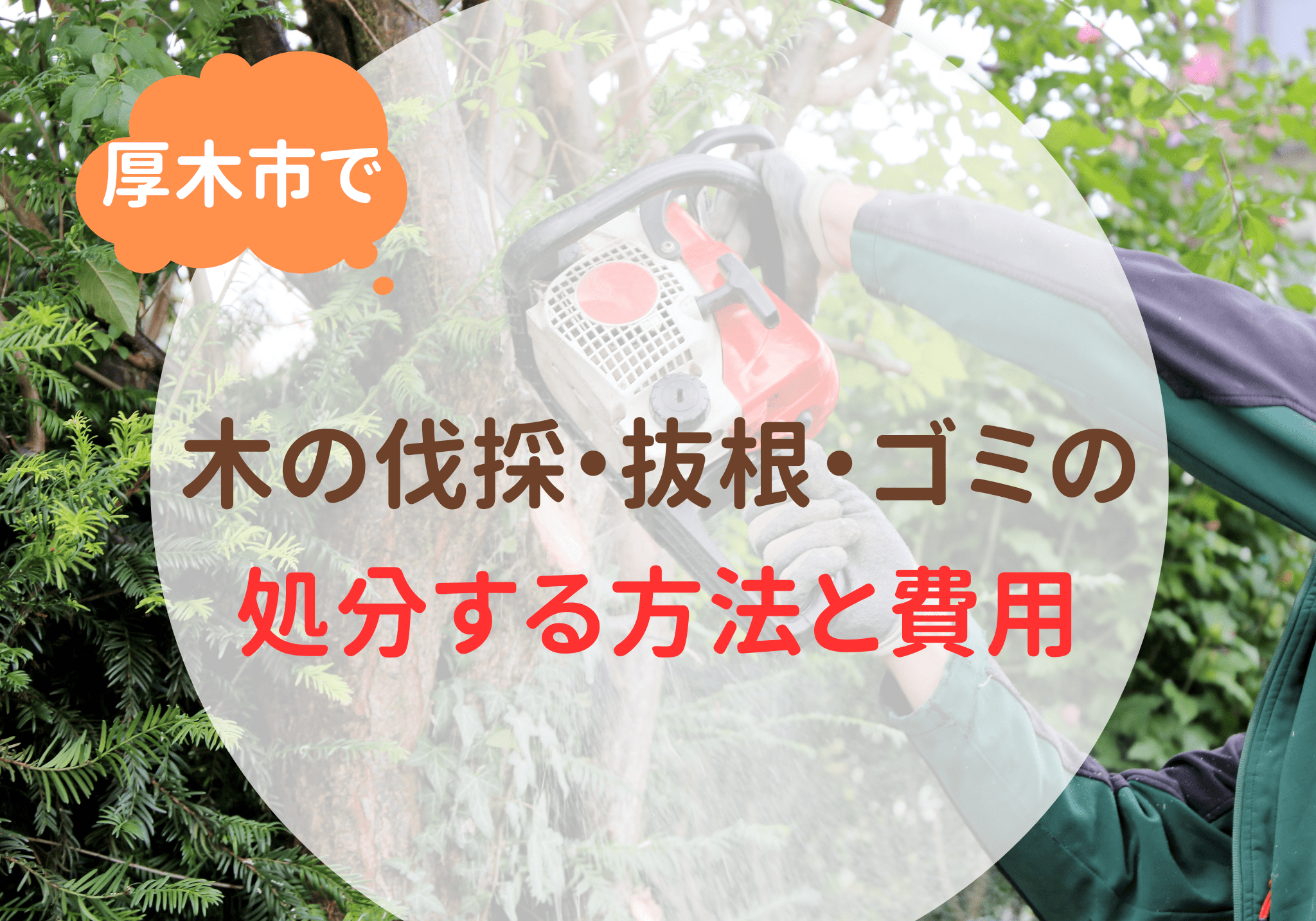 厚木市で木の伐採・抜根・木や枝の処分は便利屋「岩美」へおまかせください