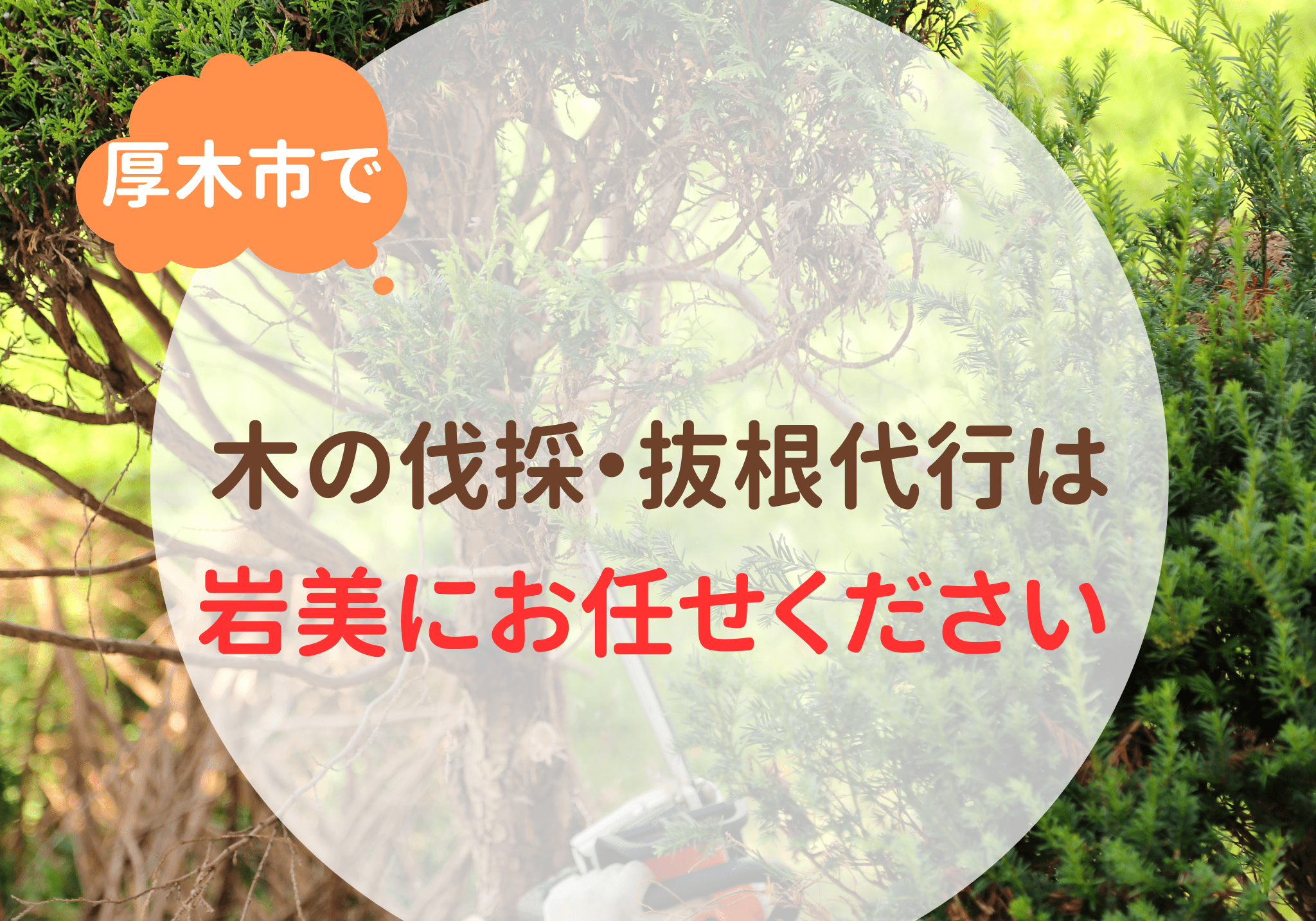 伐採の検索結果 | 厚木市の便利屋さん | 岩美（いわみ）