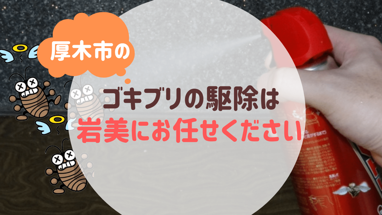 厚木市のゴキブリの駆除は便利屋岩美にお任せください