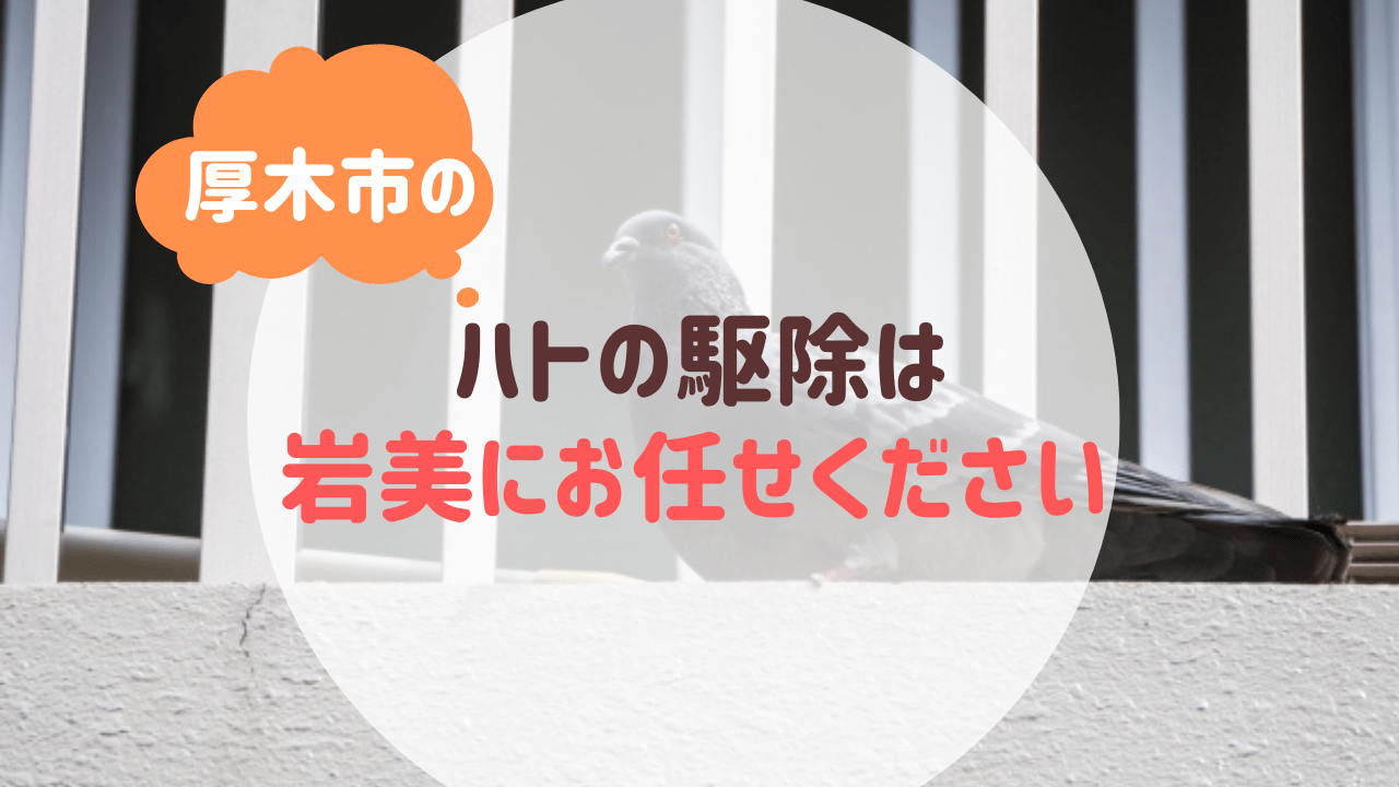 厚木市のハトの駆除は便利屋岩美にお任せください