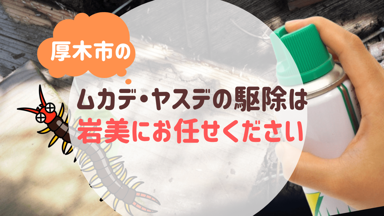 厚木市のムカデ・ヤスデの駆除は便利屋岩美にお任せください