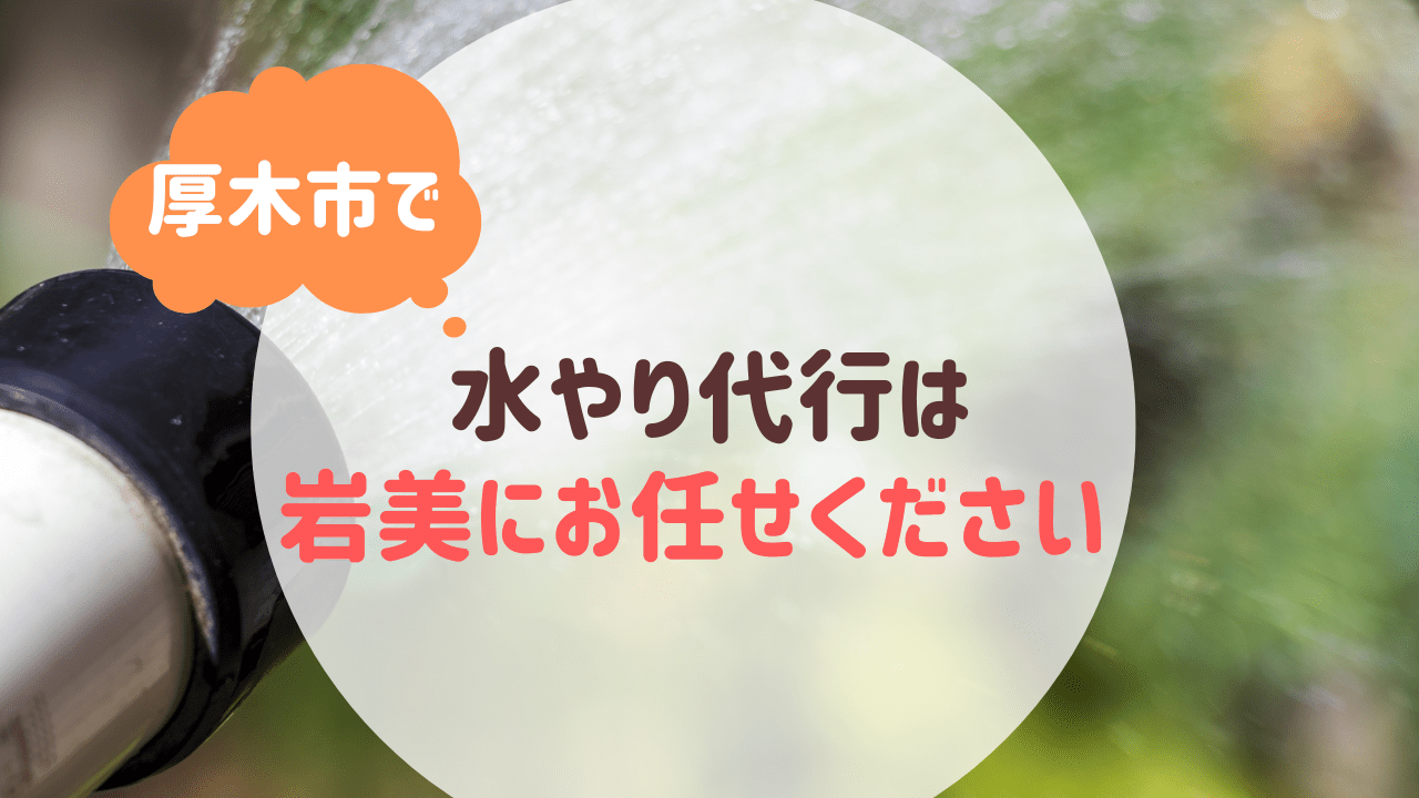 厚木市で庭の水やり代行は便利屋岩美へ